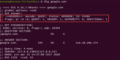 linux dns lookup command|Linux and Unix dig Command Examples .
